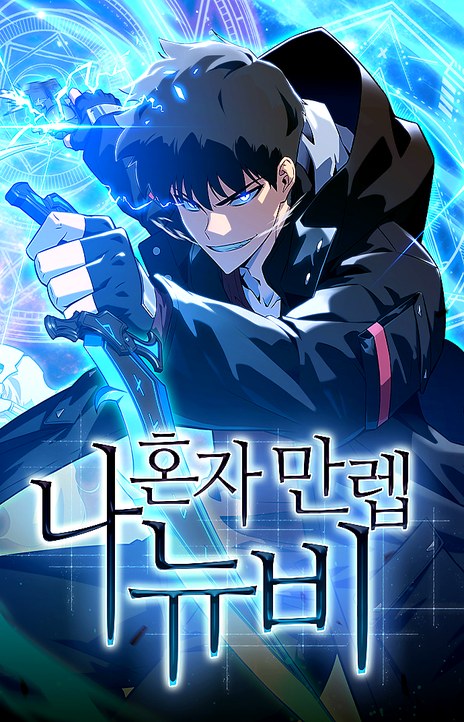 Solo Max-Level Newbie FR Cover Image